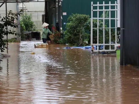 Nhiều địa phương bị thiệt hại do mưa lớn kéo dài