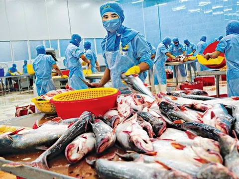 Sản xuất, chế biến thủy sản Việt Nam năm 2022: Thách thức ở phía trước